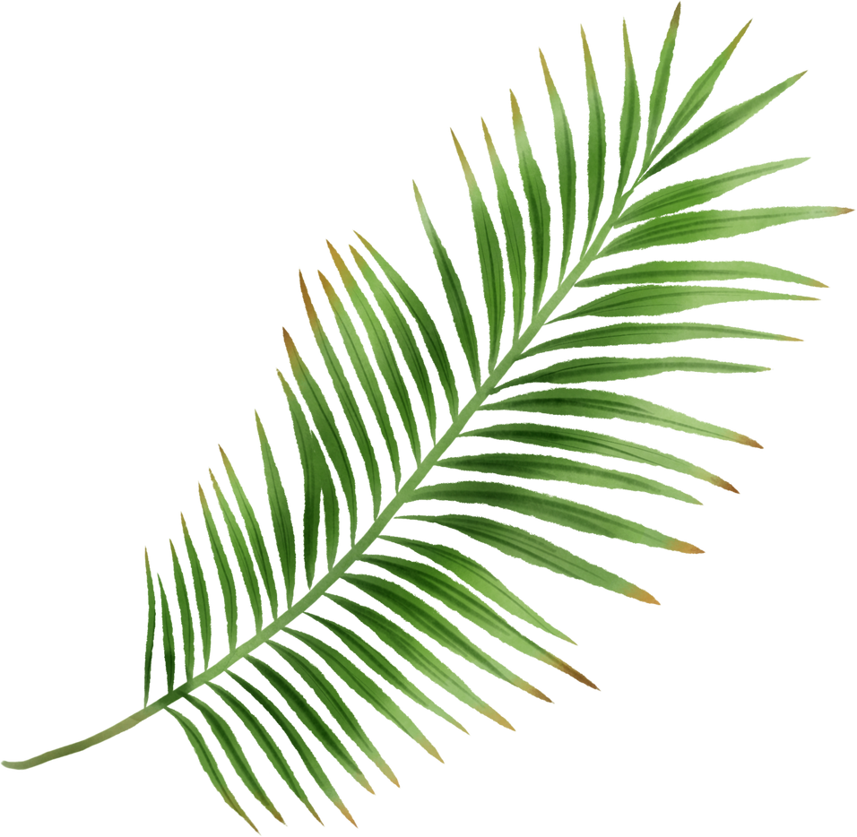 Watercolor Illustration of Green Palm Leaves